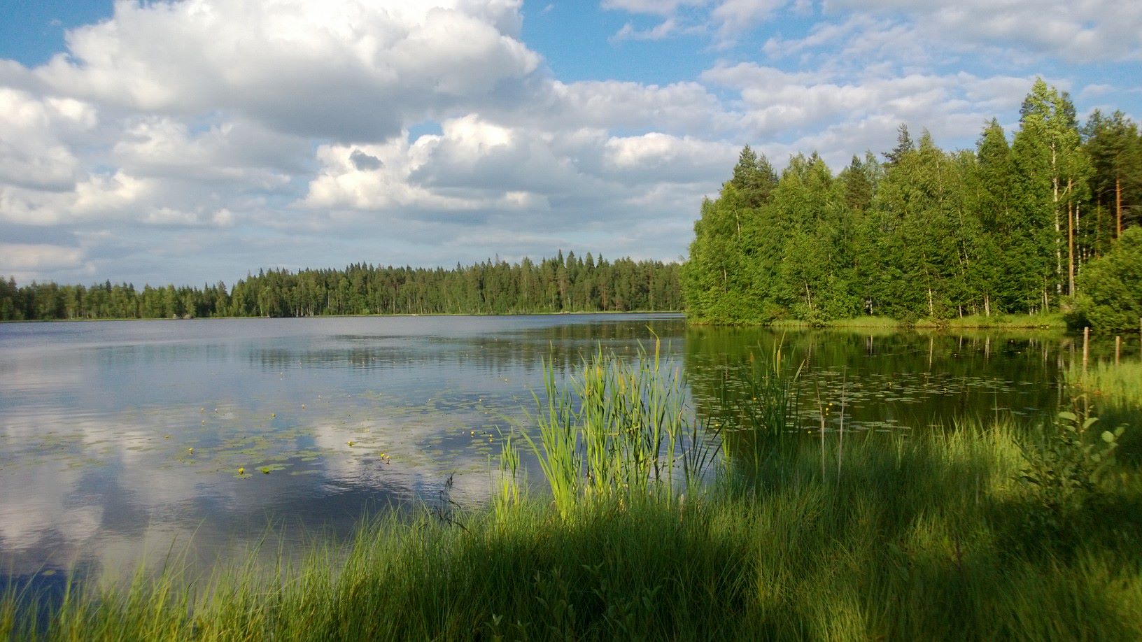 Course image
